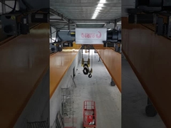 5t 5-40m Span เครื่องกระบะขัดขวางคู่